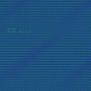 Florian Hecker - Natural Selection  CD